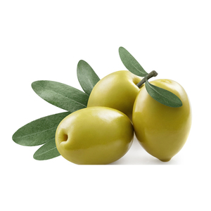 Proveedor de Aceitunas Frescas al Por Mayor al Precio Más Bajo con Entrega Rápida - Product Image 3