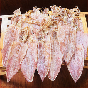 BEST-SELLER Calamar Séché Durable de Haute Qualité Riche en Protéines Snack de Fruits de Mer Premium Vente en Gros Exportation Directe Usine - Product Image 4