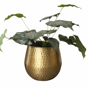 Unique <b>Gold</b> Plated Metal Flower Planter <b>Pot</b> With Green <b>Plant</b> Indoor Desktop Planter Minimalist Style Circular Planter - Product Image 6