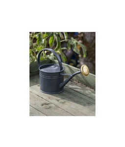 Arrosoir en métal design, motifs floraux imprimés sur émail, aspect attrayant, outil d'arrosage durable pour plantes d'intérieur et d'extérieur - Product Image 1