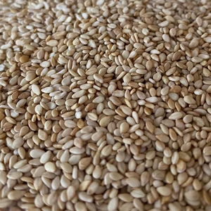 Graines de sésame blanches, naturelles et pures, d'origine indienne, fournisseur en gros - Product Image 1