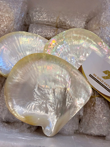 จานเปลือกหอยมุกธรรมชาติสุดหรูสำหรับตกแต่งบ้านและใช้รับประทานอาหาร พร้อมเครื่องประดับอัญมณี ลูกปัดปะการัง - Product Image 4