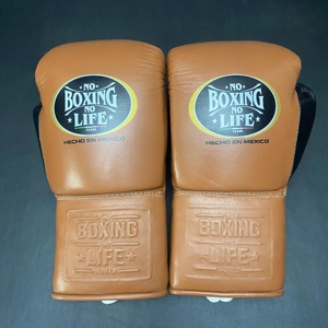 Gants de boxe en cuir de qualité supérieure RTS, rembourrage robuste, coutures durables, fermeture à lacets, excellents gants de kickboxing AI-BG-150 - Product Image 5