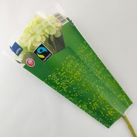 Manchons de protection pour pots de fleurs en résine imperméable de qualité supérieure, écologiques, sans danger pour les aliments, anti-buée, haute transparence, pour bouquets de fleuristes et herbes