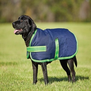Chaqueta de Invierno para Perro, de Lujo, Resistente, Cálida, de Nailon Ecológico, Accesorio de Ropa para Mascotas, Superventas - Product Image 5