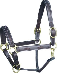 Equipo Ecuestre de Cuero Genuino de Primera Calidad, Halter Trenzado con Logotipo Personalizado, Ajustable, Anatómico y Elegante para Montar a Caballo - Product Image 3