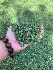 ใบมะรุมแห้งบริสุทธิ์2025บัวสีน้ำเงินเหมาะสำหรับสมูทตี้และชาสมุนไพร - Product Image 5