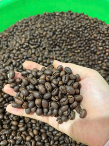 Private Label Roasted <b>Coffee</b> <b>Beans</b> Custom Packaging OEM Service High Quality Arabica Robusta Whole <b>Beans</b> Wholesale - Product Image 3
