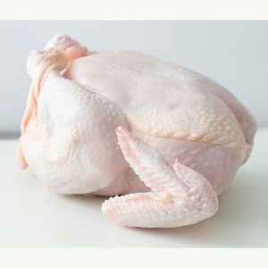 Pollo Entero Congelado Halal para Exportación / Pollo Entero Congelado Halal, Pollo Procesado Congelado - Product Image 4
