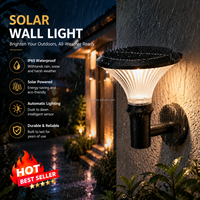 Lumière de décoration de jardin LED solaire extérieure, étanche IP65, amovible, à fixer au mur