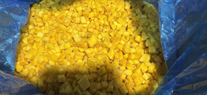 Cubes de mangue lyophilisés, fruits naturels de qualité supérieure pour mélange de collations, granola, garniture pour petit-déjeuner, approvisionnement direct d'usine du Vietnam - Product Image 3