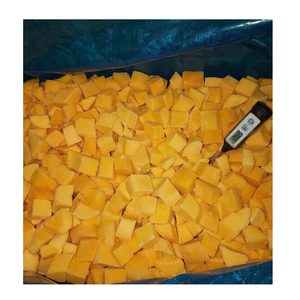Fournisseur en gros de mangues congelées pour les fabricants alimentaires et les entreprises d'importation - Product Image 1