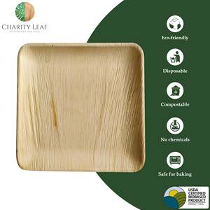 Piatto Quadrato Monouso da 11 Pollici in Foglia di Palma Naturale - Product Image 6