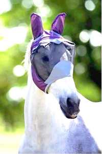 Voile anti-mouches ouvert pour chevaux, sans contrainte sur les oreilles, en maille confortable, protection faciale équestre, vision claire, anti-insectes, protège-yeux équin - Product Image 2