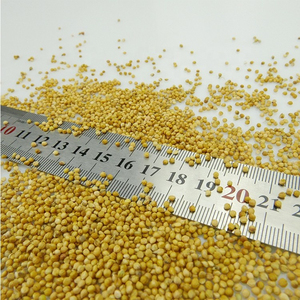 Approvisionnement en gros de millet glutineux biologique de qualité supérieure, qualité alimentaire, stock disponible, service OEM, fabricant - Product Image 2