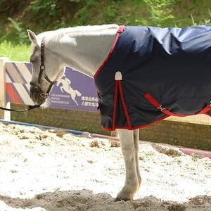 BARN & STABLE 600Denier 3000mm3000mvp Couvertures pour chevaux super imperméables et respirantes pour l'hiver avec rembourrage de 200g - Product Image 2