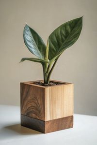 Lot de supports à plantes carrés miniatures en bois, modernes, faits à la main, écologiques, qualité supérieure, pour Ramadan et mariages, prix de gros usine - Product Image 2