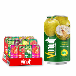 Annona Glabra 330ml Bebida de jugo 24 latas de cartón sin azúcar OEM ODM Etiqueta privada Muestra gratis Premium Saludable - Product Image 1