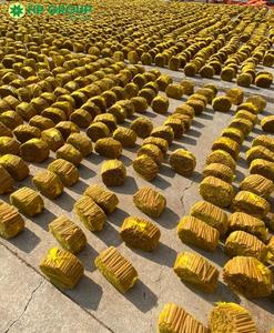 NOUVELLE RÉCOLTE Cannelle et Cassia vietnamiennes séchées, transformées selon le procédé AD - MEILLEUR PRIX CONTACTEZ-MOI +84 869981238 - Product Image 6