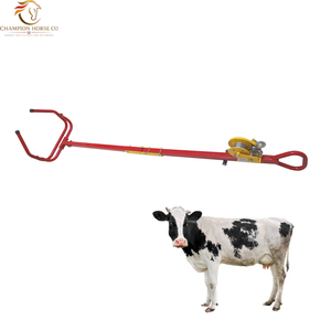 Extractor obstétrico para terneros al por mayor con cadena cromada, instrumento veterinario reutilizable para el parto de ganado - Product Image 1