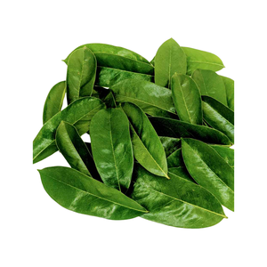 Dried Soursop Leaves Export Quality Manufacturer - Product Image 6