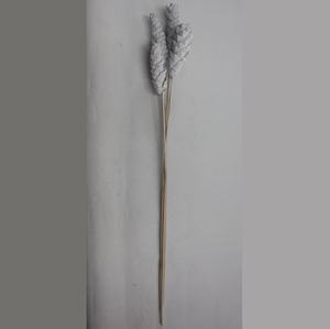 Pigne naturelle botanique longue pour décoration, pigne décorative blanche comme neige pour bouquet, artisanat, cadeau - Product Image 5