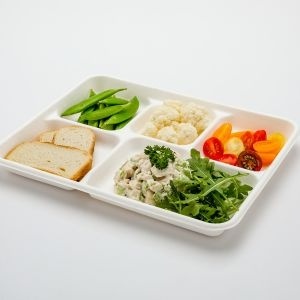 Barquette repas compostable en bagasse de canne à sucre à 5 compartiments pour les repas combinés et les plats à emporter, idéale pour les dîners en extérieur - Product Image 1
