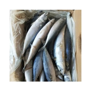 CREKS Caballa Congelada IQF en Bloque Entero, Envasada al Vacío en Agua, Mariscos Sostenibles, 10 kg, Grado de Exportación para Servicios de Alimentación - Product Image 3