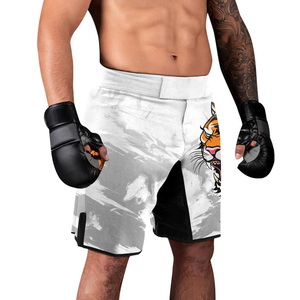 Shorts MMA pour enfants très demandés, vêtements de sport unisexes, service OEM, personnalisables, 100% polyester, légers, extensibles, haute qualité - Product Image 5