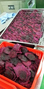 Fruta del Dragón Seca Saludable y Sostenible de Alta Calidad, Ecológica, Rica en Minerales, Pitaya BLUE LOTUS FARM, Sabor Dulce, Envasada al Vacío - Product Image 4
