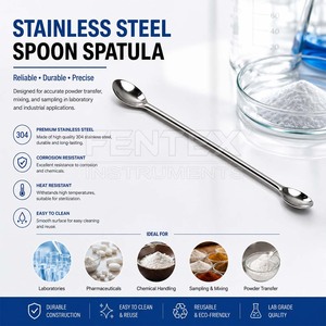 Espátula Micro de Acero Inoxidable Reutilizable de Alta Calidad, Cuchara de Muestreo de Doble Extremo para Laboratorio, Uso Médico, Farmacéutico y Químico, Herramienta de Laboratorio - Product Image 3