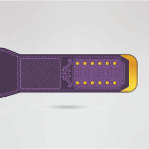 Cinturón de Campeonato de Lucha Libre Personalizado, Plateado en Metal Morado, Diseño Personalizable de Cuatro Lados, Placa Central Dorada Intrincada con Logotipo de Águila - Product Image 5