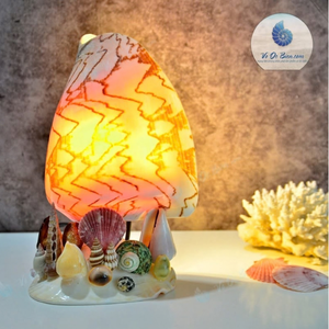 Veilleuse en coquillages naturels sélectionnés du Vietnam pour les importateurs mondiaux d'accessoires, conçue pour les packs cadeaux 99 Gold Data Co. - Product Image 5