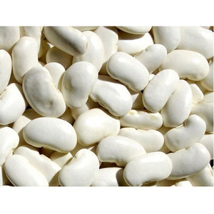 Compre Frijoles Blancos Oscuros Baratos, Frijoles Blancos de Forma Larga en Venta - Product Image 2