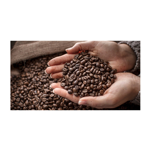 เมล็ดกาแฟอาราบิก้าเพื่อรสชาติที่นุ่มนวลและการผลิตกาแฟระดับพรีเมียม - Product Image 4