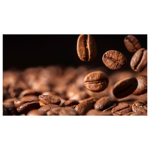 Grains de café Arabica répondant aux normes d'exportation internationales pour la qualité, la cohérence et la fiabilité - Product Image 5