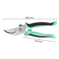 Sécateur de jardin, ciseaux de taille pour arbres fruitiers et arbustes, outils de jardinage