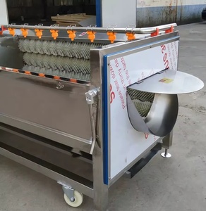 Équipement de lavage de fruits et légumes, Laveuse de manioc, Laveuse de gingembre, Machine industrielle à éplucher les pommes de terre - Product Image 3