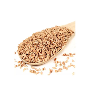 Venta al por Mayor de Granos de Trigo de Primera Calidad, Grado Alimenticio, Suministro a Granel, Listos para Exportar - Product Image 3