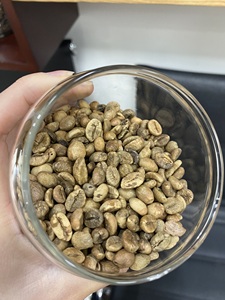 Café Vert Robusta PHALCO de Haute Qualité Grade 1 Tamis 16/18 Vietnam Meilleur Prix Prêt à l'Exportation en Sac de Jute - Product Image 4