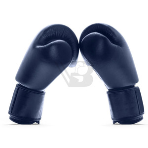 Gants de boxe professionnels sur mesure très tendance avec fermeture auto-agrippante antidérapante 14 oz pour l'entraînement au combat - Product Image 6