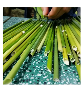 หลอดหญ้า sedge ออร์แกนิกใหม่โซลูชันสำหรับใช้ในบ้านเป็นมิตรกับสิ่งแวดล้อมสำหรับลดการผลิตขยะพลาสติกประสิทธิภาพสูงติดต่อกับ MS Mary - Product Image 6