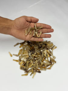 Pointes de corne de buffle naturelles, durables et faites à la main, de couleur blanc clair, pour montures de lunettes, design moderne, NHE Overseas - Product Image 1