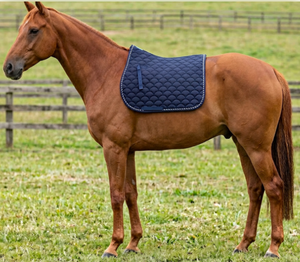 OEM Quilted Horse Saddle Pad | Premium <b>Equestrian</b> Tack Supplier Horse Saddle Pad | Decorative Quilted <b>Equestrian</b> Saddle Cloth - Product Image 3