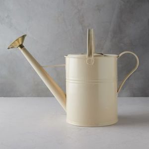 Arrosoir en métal élégant pour le jardinage domestique, design stylé, construction robuste, long bec verseur, versement facile. - Product Image 4