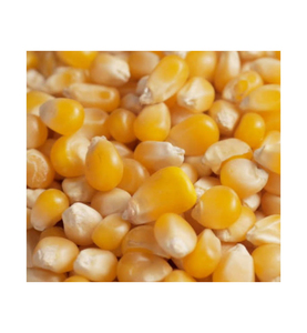 Vente en gros de maïs de qualité supérieure, en vrac, qualité alimentaire, prêt à expédier, approvisionnement pour l'exportation - Product Image 2
