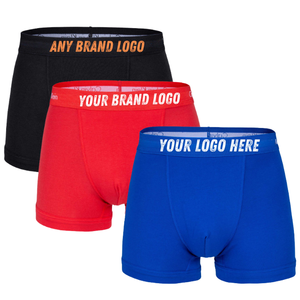 Direct Factory Supply Men's <b>Custom</b> Logo <b>Boxer</b> Briefs ODM Wholesale Buyers Colorful Moisture-Wicking Breathable Low MOQ - Product Image 1