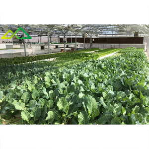 Système de serre aquaponique pour l'élevage commercial de poissons et de légumes, écosystème durable - Product Image 4