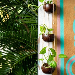 Garden <b>pot</b> planters outdoor <b>large</b> planter natural coconut shell <b>pots</b> for flowers & small plants - Product Image 6