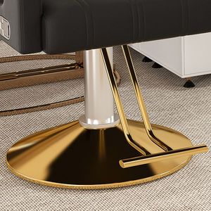 Chaise de barbier hydraulique professionnelle pivotante à 360 degrés avec accoudoirs réglables en acier inoxydable et dossier inclinable - Product Image 5